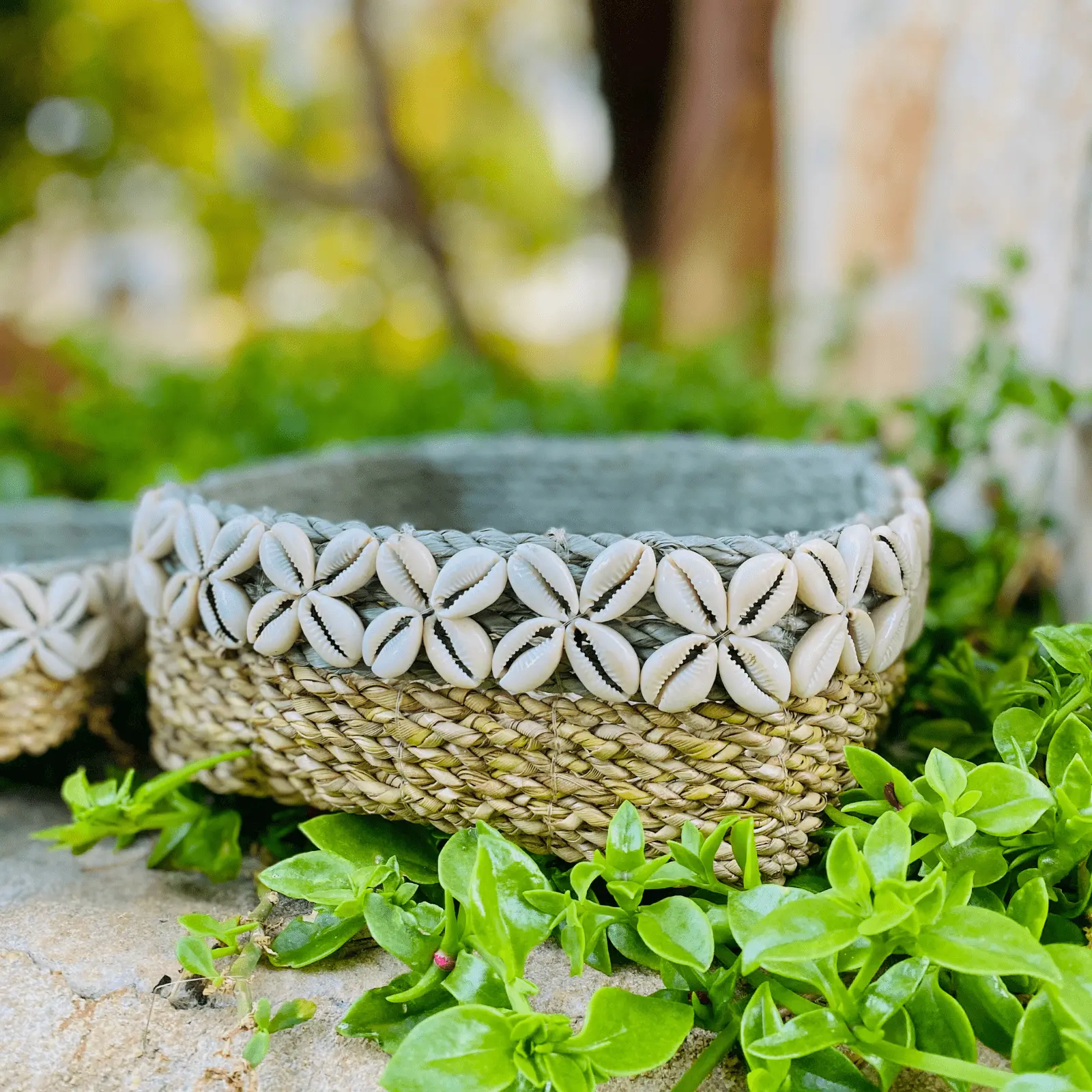 Natural Raffia Decorative Basket with Shells