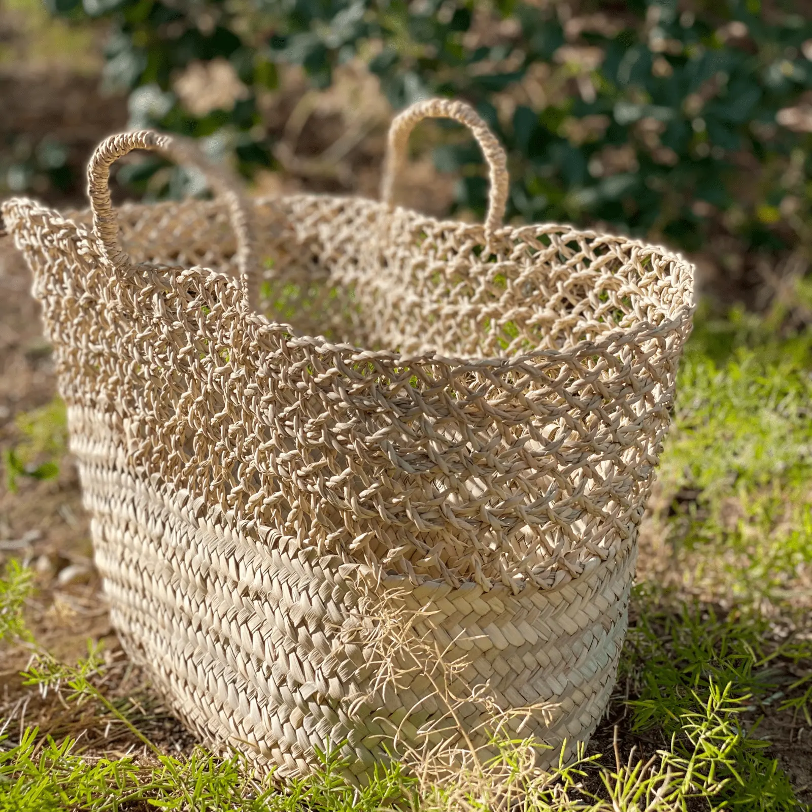 Palm and Enea Basket with Handles - Image 2