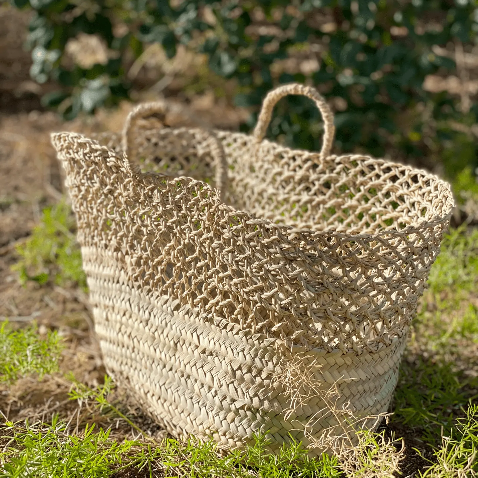 Palm and Enea Basket with Handles