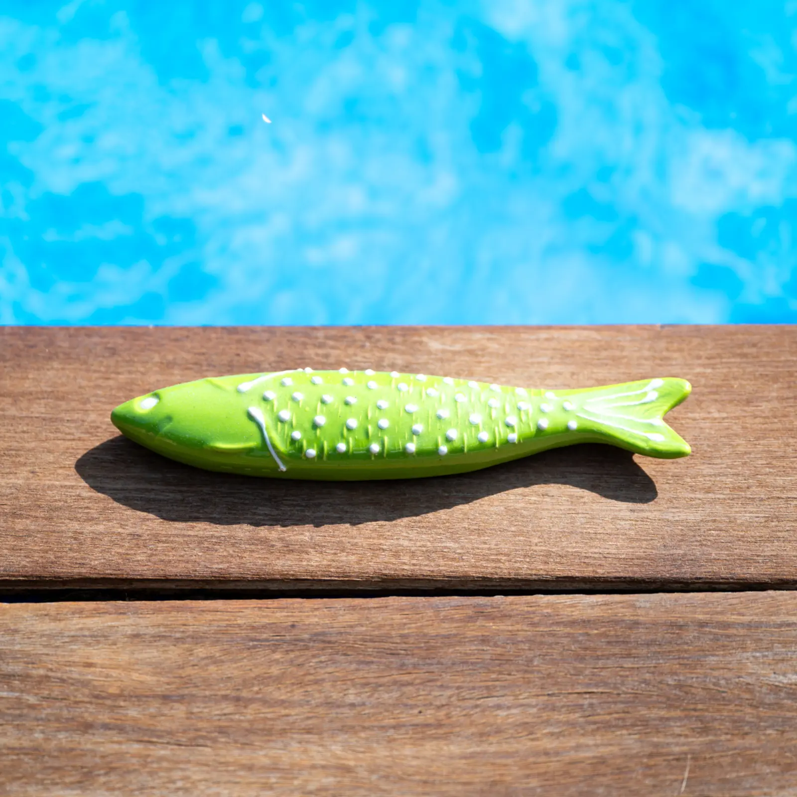 Sardinas de Cerámica de Colores - Imagen 6