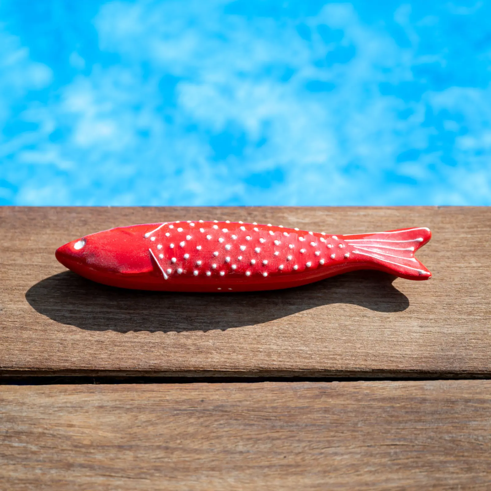 Sardinas de Cerámica de Colores - Imagen 3